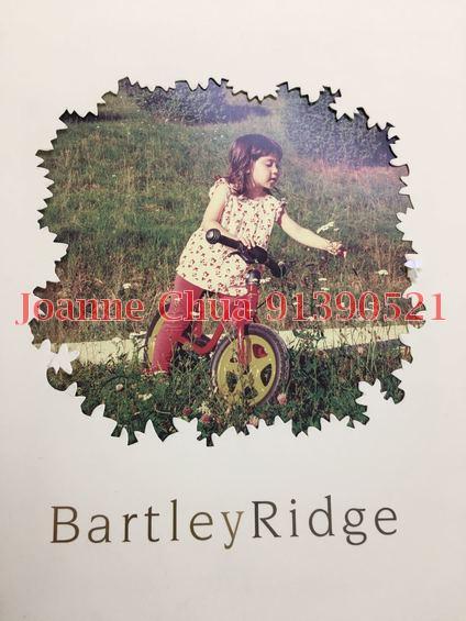 Bartley Ridge (D13), Condominium #157653932